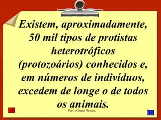 Existem, aproximadamente, 50 mil tipos de protistas heterotróficos (protozoários) conhecidos e, em números de indivíduos, excedem de longe o de todos os animais. 
