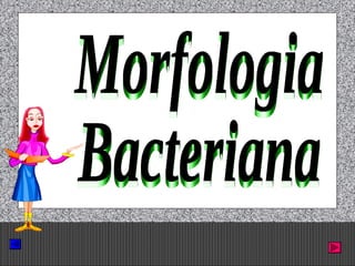 Prof. Albano Novaes. 10
 