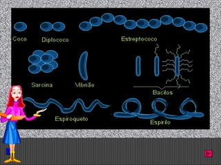 Prof. Albano Novaes. 11
 