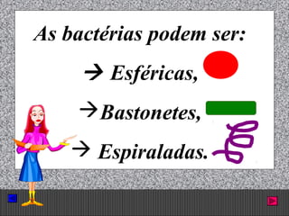 Prof. Albano Novaes. 13
As bactérias podem ser:
 Esféricas,
Bastonetes,
 Espiraladas.
 