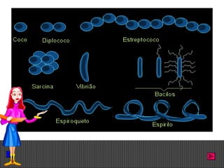 Prof. Albano Novaes. 16
 