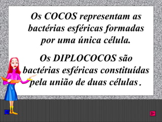 Prof. Albano Novaes. 17
Os COCOS representam as
bactérias esféricas formadas
por uma única célula.
Os DIPLOCOCOS são
bactérias esféricas constituídas
pela união de duas células.
 