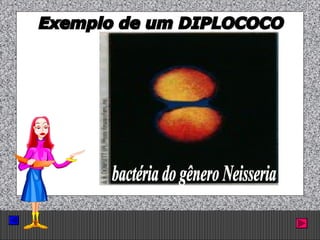 Prof. Albano Novaes. 19
 