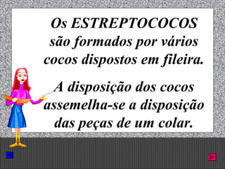 Prof. Albano Novaes. 20
Os ESTREPTOCOCOS
são formados por vários
cocos dispostos em fileira.
A disposição dos cocos
assemelha-se a disposição
das peças de um colar.
 