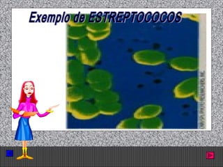 Prof. Albano Novaes. 21
 