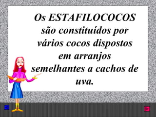 Prof. Albano Novaes. 22
Os ESTAFILOCOCOS
são constituídos por
vários cocos dispostos
em arranjos
semelhantes a cachos de
uva.
 