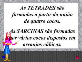 Prof. Albano Novaes. 24
As TÉTRADES são
formadas a partir da união
de quatro cocos.
As SARCINAS são formadas
por vários cocos dispostos em
arranjos cúbicos.
 