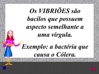 Prof. Albano Novaes. 27
Os VIBRIÕES são
bacilos que possuem
aspecto semelhante a
uma vírgula.
Exemplo: a bactéria que
causa o Cólera.
 