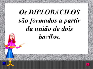 Prof. Albano Novaes. 28
Os DIPLOBACILOS
são formados a partir
da união de dois
bacilos.
 