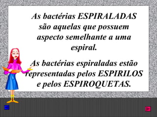 Prof. Albano Novaes. 29
As bactérias ESPIRALADAS
são aquelas que possuem
aspecto semelhante a uma
espiral.
As bactérias espiraladas estão
representadas pelos ESPIRILOS
e pelos ESPIROQUETAS.
 