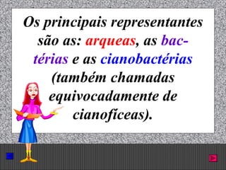 Prof. Albano Novaes. 3
Os principais representantes
são as: arqueas, as bac-
térias e as cianobactérias
(também chamadas
equivocadamente de
cianofíceas).
 