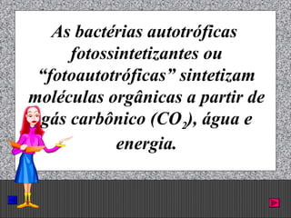 Prof. Albano Novaes. 38
As bactérias autotróficas
fotossintetizantes ou
“fotoautotróficas” sintetizam
moléculas orgânicas a partir de
gás carbônico (CO2), água e
energia.
 