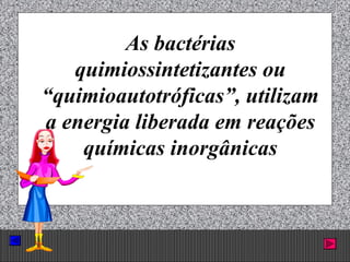 Prof. Albano Novaes. 39
As bactérias
quimiossintetizantes ou
“quimioautotróficas”, utilizam
a energia liberada em reações
químicas inorgânicas
 