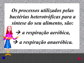 Prof. Albano Novaes. 42
Os processos utilizados pelas
bactérias heterotróficas para a
síntese do seu alimento, são:
 a respiração aeróbica,
 a respiração anaeróbica.
 