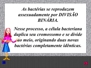 Prof. Albano Novaes. 46
As bactérias se reproduzem
assexuadamente por DIVISÃO
BINÁRIA.
Nesse processo, a célula bacteriana
duplica seu cromossomo e se divide
ao meio, originando duas novas
bactérias completamente idênticas.
 