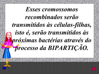 Prof. Albano Novaes. 50
Esses cromossomos
recombinados serão
transmitidos às células-filhas,
isto é, serão transmitidos às
próximas bactérias através do
processo da BIPARTIÇÃO.
 