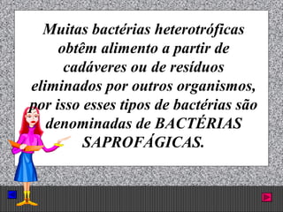 Prof. Albano Novaes. 53
Muitas bactérias heterotróficas
obtêm alimento a partir de
cadáveres ou de resíduos
eliminados por outros organismos,
por isso esses tipos de bactérias são
denominadas de BACTÉRIAS
SAPROFÁGICAS.
 