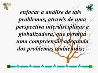 enfocar a análise de tais problemas, através de uma perspectiva interdisciplinar e globalizadora, que permita uma compreensão adequada dos problemas ambientais;   