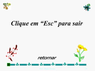 Clique em “Esc” para sair retornar 