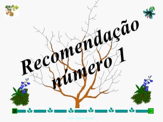 Recomendação número 1 