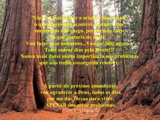 Não vou mais parar a minha vida porque o que desejo não acontece, porque uma  mensagem não chega, porque não ouço o que gostaria de ouvir. Vou fazer meu momento...Vou ser feliz agora... Terei outros dias pela frente!!! Nunca mais darei muita importância aos problemas que não tenho conseguido resolver. A partir do próximo amanhecer, vou agradecer a Deus, todos os dias por me dar forças para viver, APESAR dos meus problemas. 