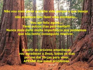   Não vou mais parar a minha vida porque o que desejo  não acontece.Vou fazer meu momento... Vou ser feliz agora... Terei outros dias pela frente!!! Nunca mais darei muita importância aos problemas que não tenho conseguido resolver.  A partir do próximo amanhecer, vou agradecer a Deus, todos os dias por me dar forças para viver, APESAR dos meus problemas. 