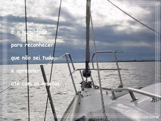 É a humildade  para reconhecer  que não sei tudo  e aprender  até com os insetos...   