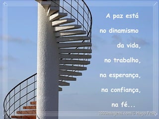 A paz está  no dinamismo  da vida, no trabalho, na esperança, na confiança, na fé...   
