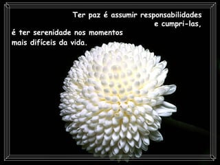 Ter paz é assumir responsabilidades  e cumpri-las,  é ter serenidade nos momentos  mais difíceis da vida.   