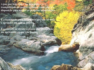 A  paz que hoje trago em meu peito é a tranqüilidade de aceitar os outros como são, e a disposição para mudar as próprias imperfeições.    É a humildade para reconhecer que não sei tudo e aprender até com os insetos...    É a vontade de dividir o pouco que tenho e não me aprisionar ao que não possuo.   