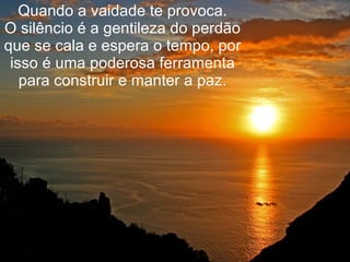 Quando a vaidade te provoca. O silêncio é a gentileza do perdão que se cala e espera o tempo, por isso é uma poderosa ferramenta para construir e manter a paz. 