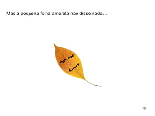 Mas a pequena folha amarela não disse nada… 