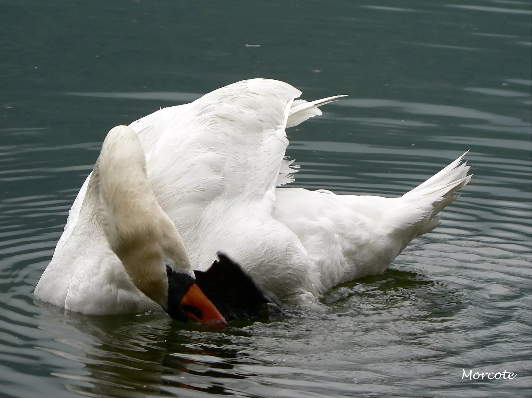 A Photo Jouney In Switzerland