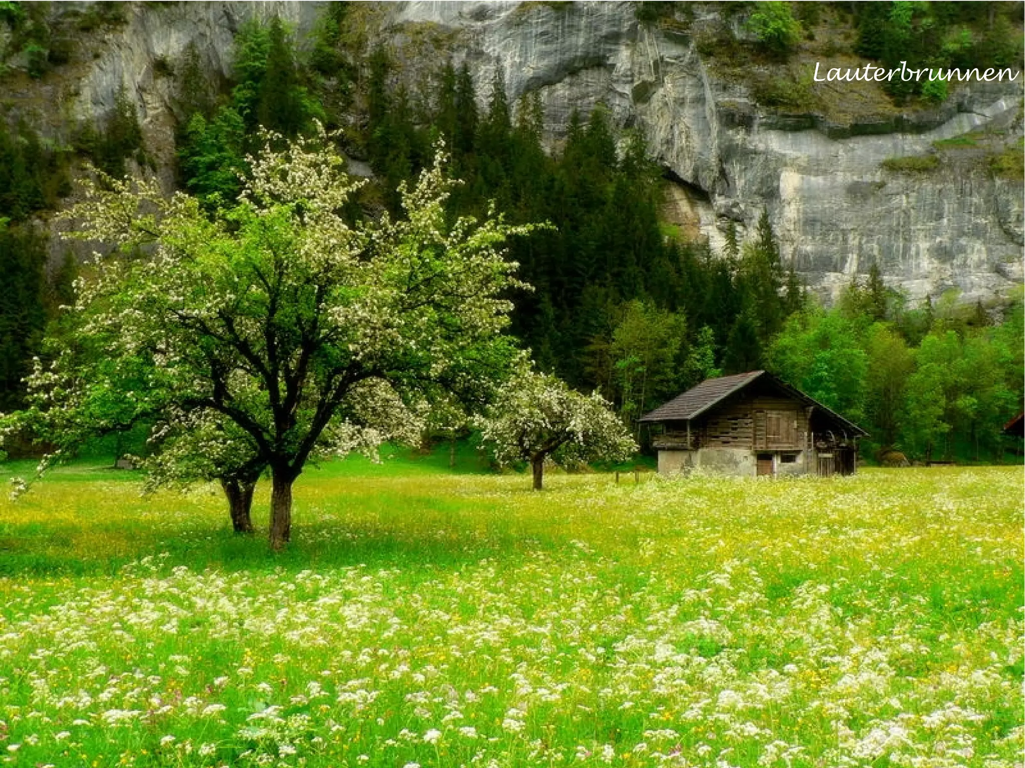 A Photo Jouney In Switzerland