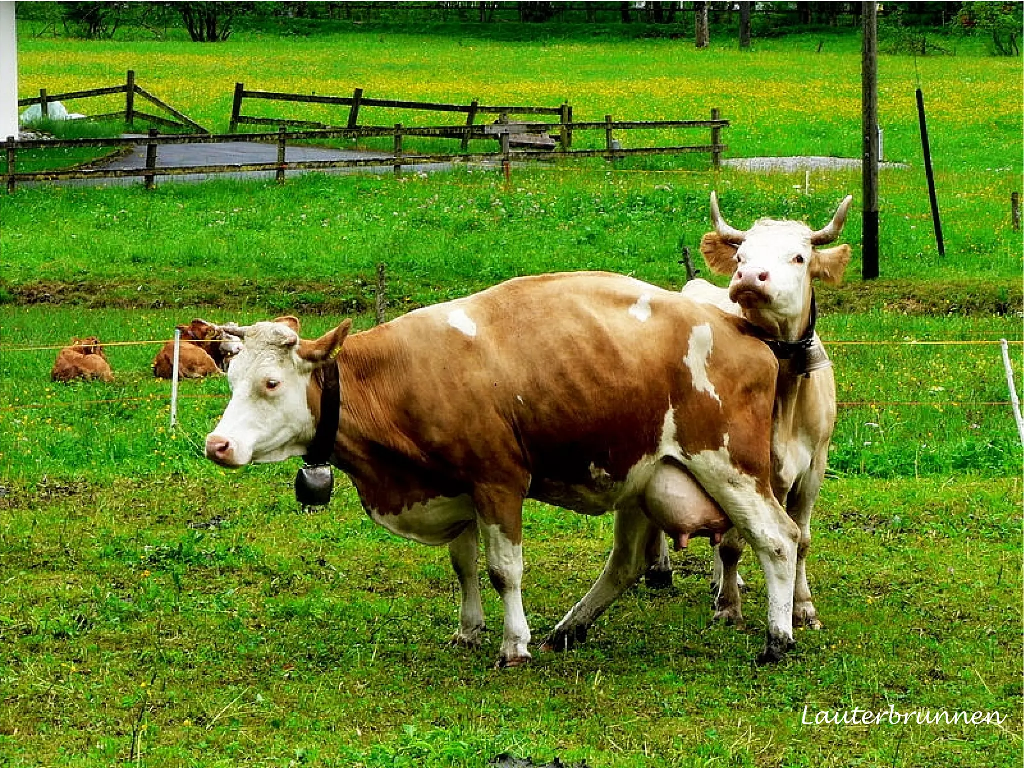 A Photo Jouney In Switzerland