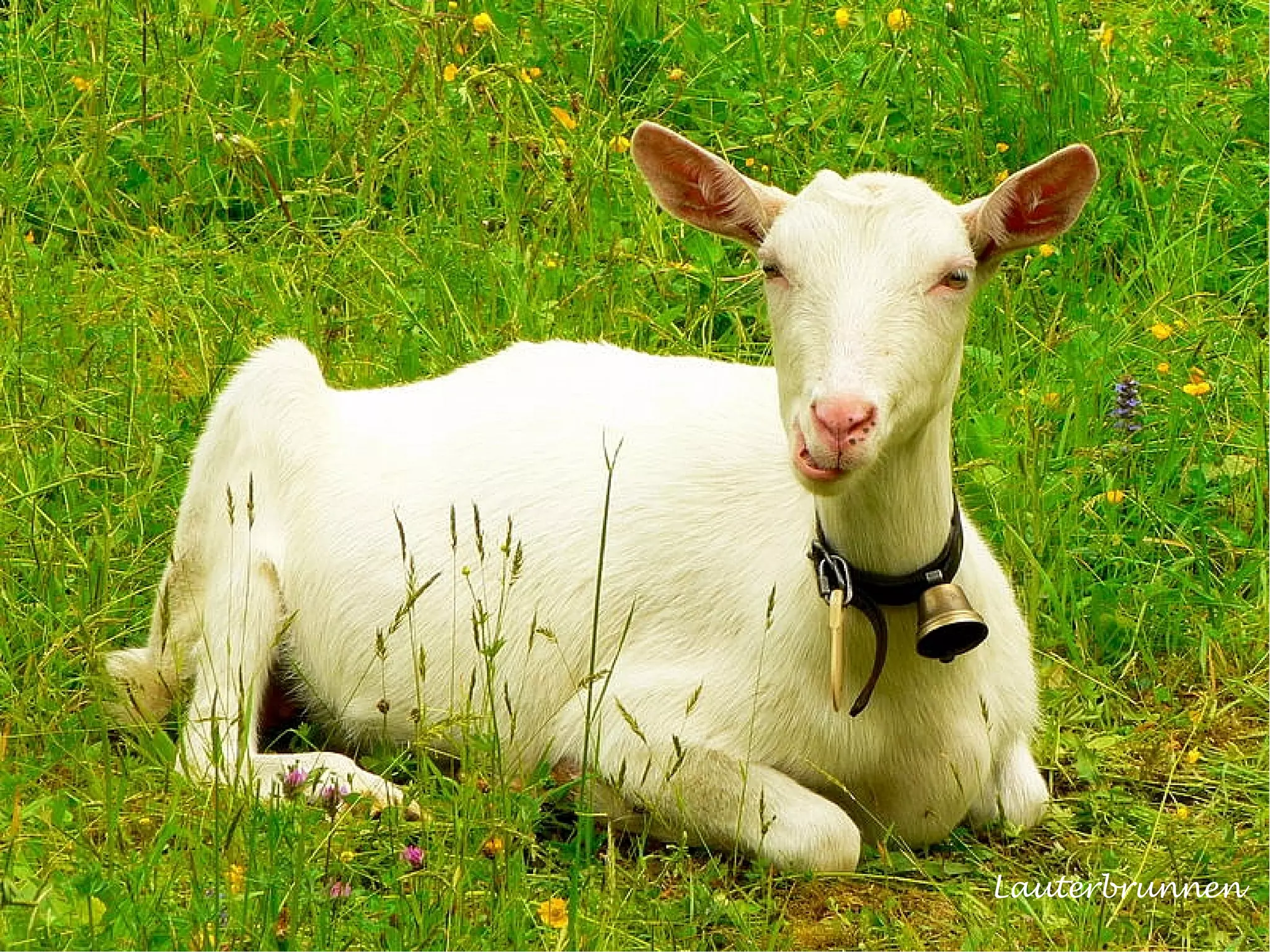 A Photo Jouney In Switzerland