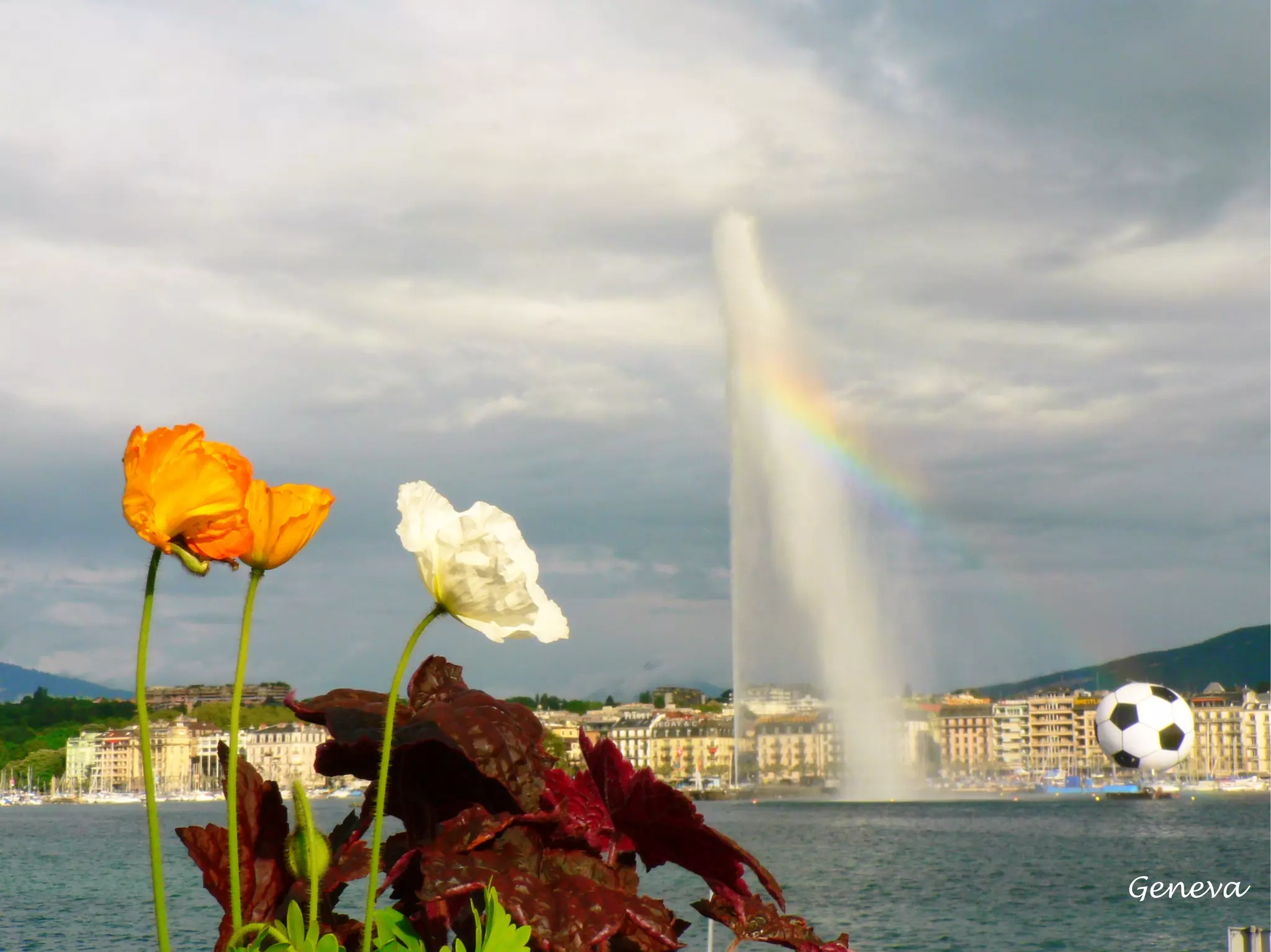 A Photo Jouney In Switzerland