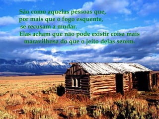 São como aquelas pessoas que,
por mais que o fogo esquente,
se recusam a mudar.
Elas acham que não pode existir coisa mais
 maravilhosa do que o jeito delas serem.
 