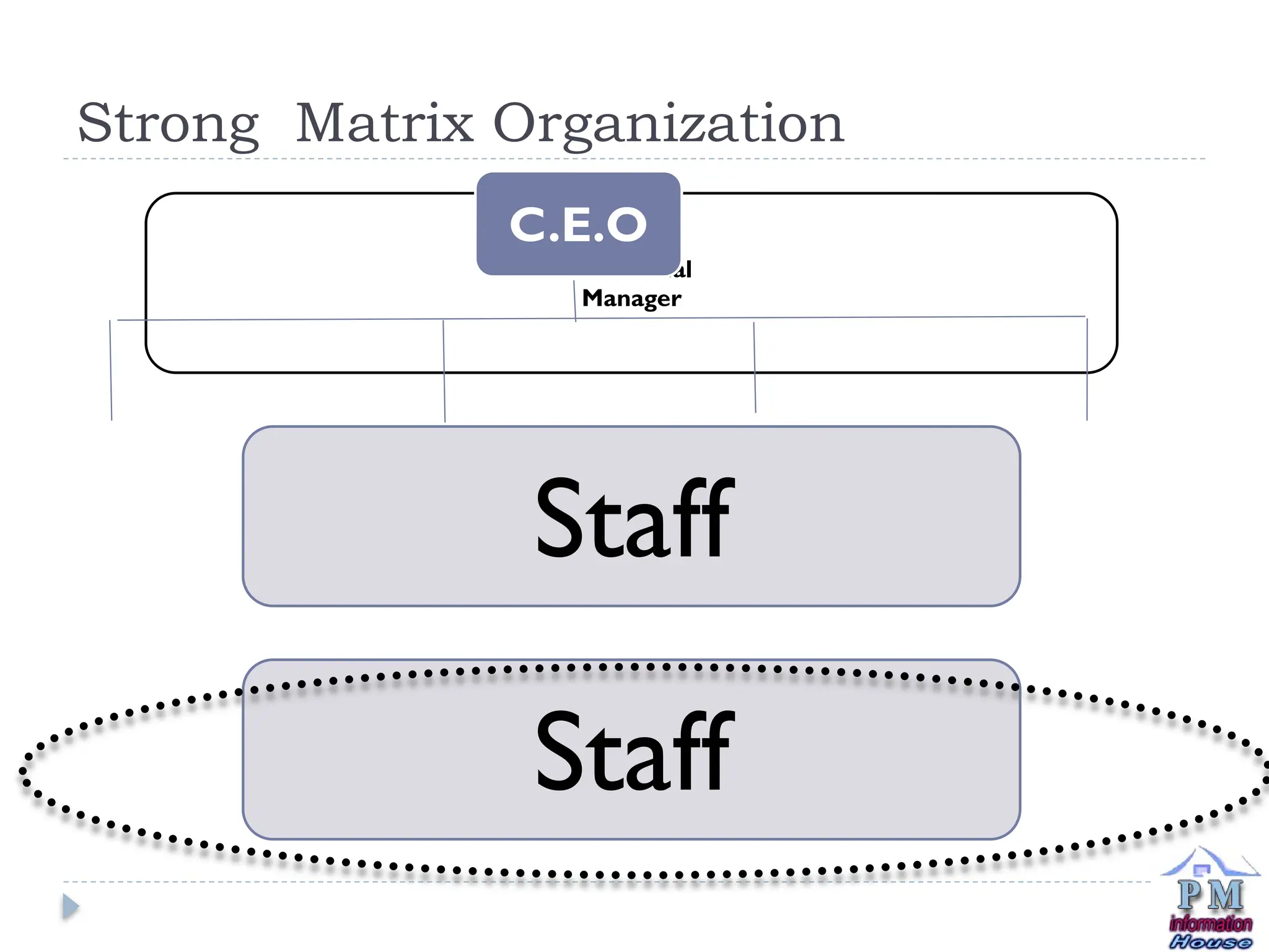 Strong Matrix Organization
Functional
Manager
Staff
Staff
C.E.O
 