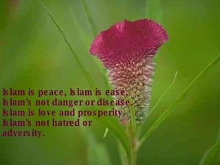 Islam is peace, Islam is ease, Islam's not danger or disease. Islam is love and prosperity. Islam's not hatred or adversity. 
