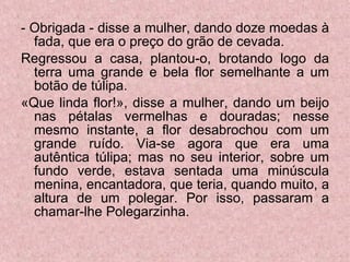 - Obrigada - disse a mulher, dando doze moedas à fada, que era o preço do grão de cevada. Regressou a casa, plantou-o, brotando logo da terra uma grande e bela flor semelhante a um botão de túlipa. «Que linda flor!», disse a mulher, dando um beijo nas pétalas vermelhas e douradas; nesse mesmo instante, a flor desabrochou com um grande ruído. Via-se agora que era uma autêntica túlipa; mas no seu interior, sobre um fundo verde, estava sentada uma minúscula menina, encantadora, que teria, quando muito, a altura de um polegar. Por isso, passaram a chamar-lhe Polegarzinha. 