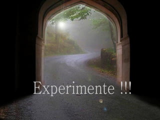 Experimente !!! 