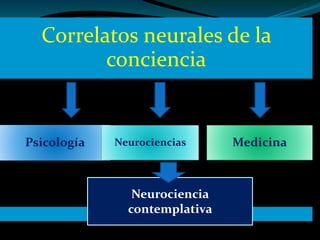 Correlatos neurales de la
conciencia
Psicología Neurociencias Medicina
Neurociencia
contemplativa
 
