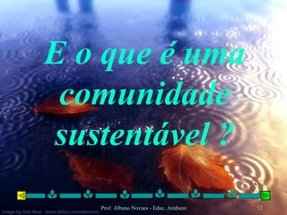 E o que é uma comunidade sustentável ? 