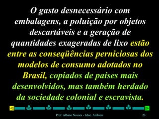 O gasto desnecessário com embalagens, a poluição por objetos descartáveis e a geração de quantidades exageradas de lixo  estão entre as conseqüências perniciosas dos modelos de consumo adotados no Brasil,  copiados de países mais desenvolvidos, mas também herdado da sociedade colonial e escravista . 