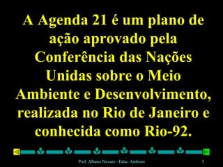 A Agenda 21 é um plano de ação aprovado pela Conferência das Nações Unidas sobre o Meio Ambiente e Desenvolvimento, realizada no Rio de Janeiro e conhecida como Rio-92. 