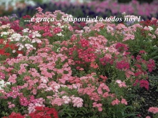...é graça ... disponível a todos nós !  