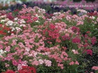 ...é graça ... disponível a todos nós !  