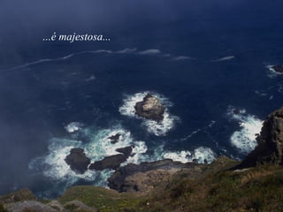 ...é majestosa... 
