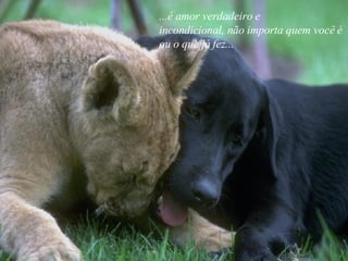 ...é amor verdadeiro e incondicional, não importa quem você é ou o que já fez... 